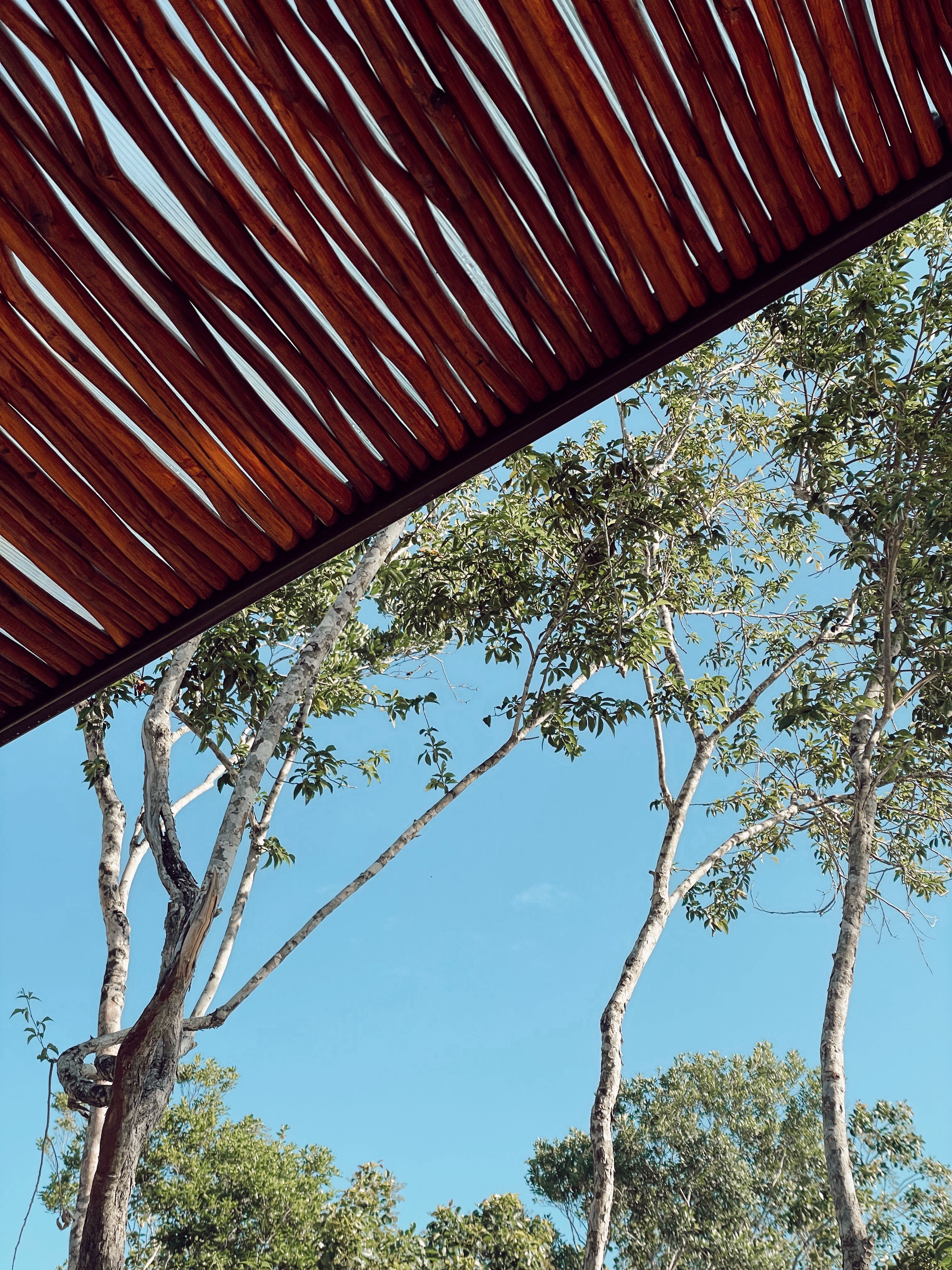 + 6000 M2 DE ÁREAS VERDES